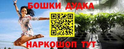 молекула духа Лесосибирск