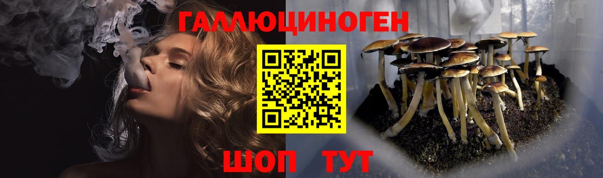 Галлюциногенные грибы мицелий Электрогорск